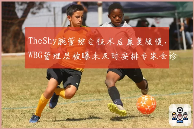 TheShy腕管综合征术后康复缓慢，WBG管理层被曝未及时安排专家会诊