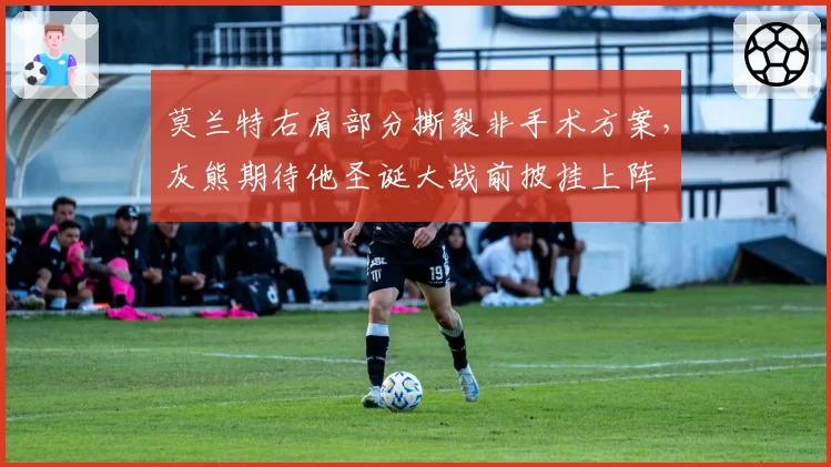 莫兰特右肩部分撕裂非手术方案，灰熊期待他圣诞大战前披挂上阵