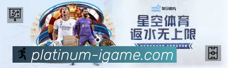 安全防护与风控机制
